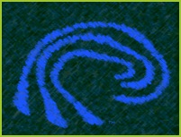 WaveChlkCharcTM